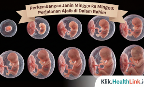 Perkembangan Janin Minggu ke Minggu - Perjalanan Ajaib di Dalam Rahim